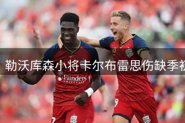 勒沃库森小将卡尔布雷思伤缺季初 安德里希伤情无碍